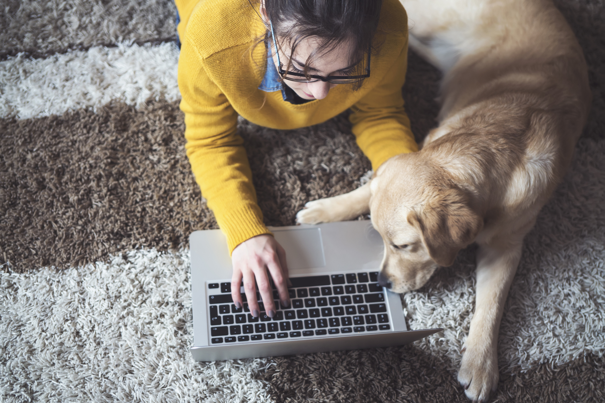 Mujer joven en su hogar charlando con sus amigos y trabajando en la computadora portátil con un perro